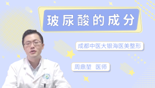 玻尿酸的成分