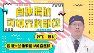 自体脂肪可填充的部位