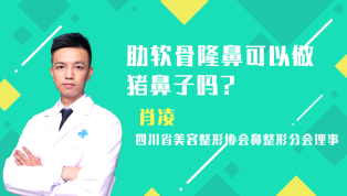肋软骨隆鼻能否做猪鼻子？