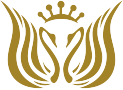 北京京民医院整形美容-医院LOGO