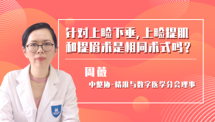 针对上睑下垂，上睑提肌和提眉术是相同术式吗？