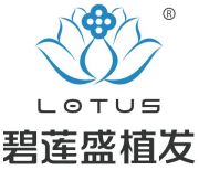太原碧莲盛植发