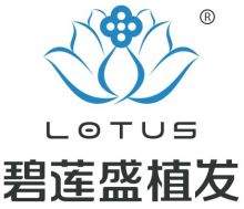 北京碧莲盛植发