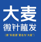 北京大麦植发