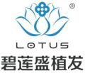 银川碧莲盛植发-医院LOGO