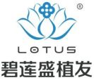 长沙碧莲盛植发-医院LOGO