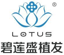 南京碧莲盛植发
