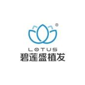 厦门碧莲盛植发