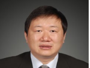 夏有辰