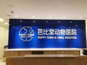 北京芭比堂动物医院