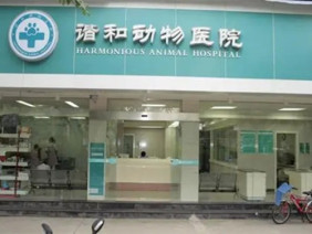 成都谐和益家动物医院