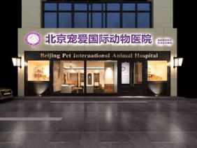北京宠爱国际动物医院