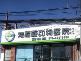 北京宠福鑫动物医院
