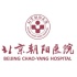 首都医科大学附属北京朝阳医院