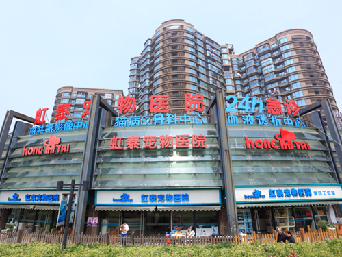 杭州虹泰宠物医院彩虹分院