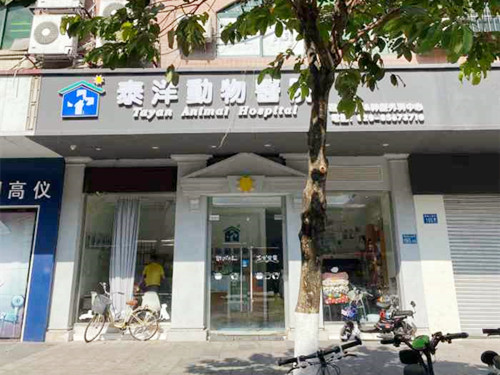 广州泰洋动物医院（南沙中心店）