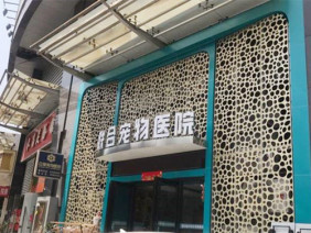 联合宠物医院新洲分院