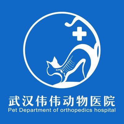 武汉伟伟动物医院