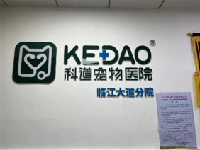 武汉科道宠物医院