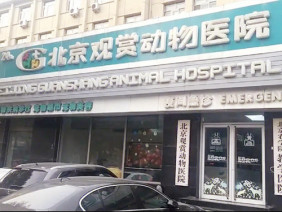 北京观赏动物医院