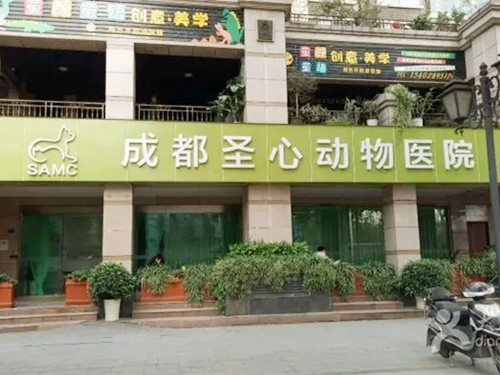 成都圣心动物医院
