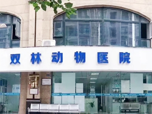 成都双林动物医院