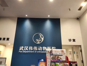 武汉伟伟动物医院