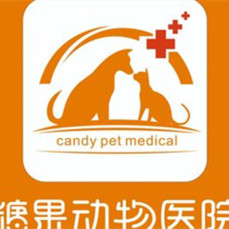 重庆糖果宠物医院