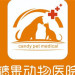 重庆糖果宠物医院