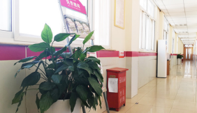 青岛新阳光妇产医院