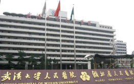 武汉大学人民医院眼科