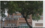 聊城华阳医疗美容医院-医院LOGO