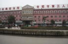 合肥市第三人民医院烧伤整形外科-医院LOGO