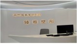 温州臻雅整形外科门诊部-医院LOGO