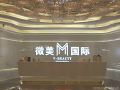 柳州微美医疗美容门诊部-医院LOGO