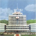 淮北市人民医院整形科-医院LOGO
