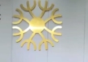 宜宾华伊佰颜医疗美容诊所-医院LOGO