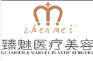 武汉臻魅医疗美容门诊部-医院LOGO