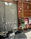 昆明大陆医疗美容门诊部-医院LOGO