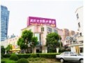 武汉天安中西医结合医院医疗美容科-医院LOGO
