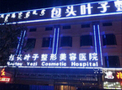 包头叶子整形美容医院-医院LOGO