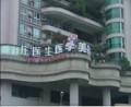 成都庄医生医学美容诊所-医院LOGO