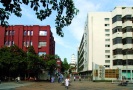 福建医科大学附属协和医院整形外科-医院LOGO
