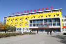 乌海市妇幼保健院医疗美容科-医院LOGO
