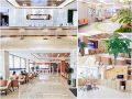 成都新桥口腔医院（衣冠庙总院区）-医院LOGO