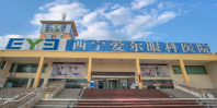 西宁爱尔眼科医院-医院LOGO