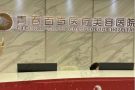 武汉青春百年医疗美容医院-医院LOGO