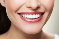 ݽʹҵӦԷָ2024