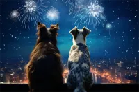 蓝犬价格及图片(蓝犬价格及图片欣赏)