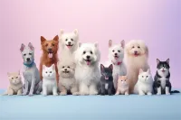 ϺȮ۸ͼƬ(ϺȮ)